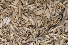 biomass boilers Holbeach Hurn